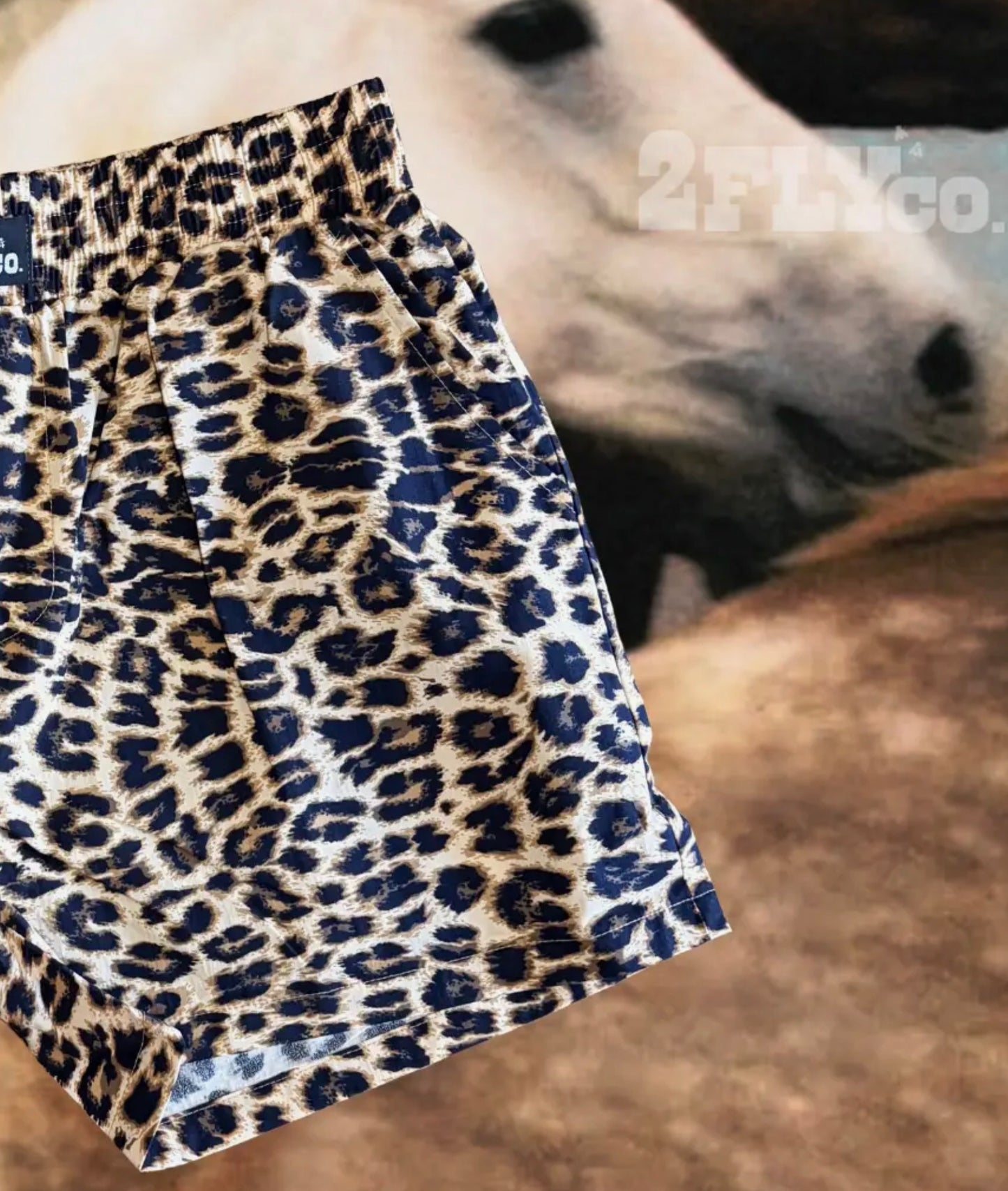 Wyld Chyld Leopard Shorts