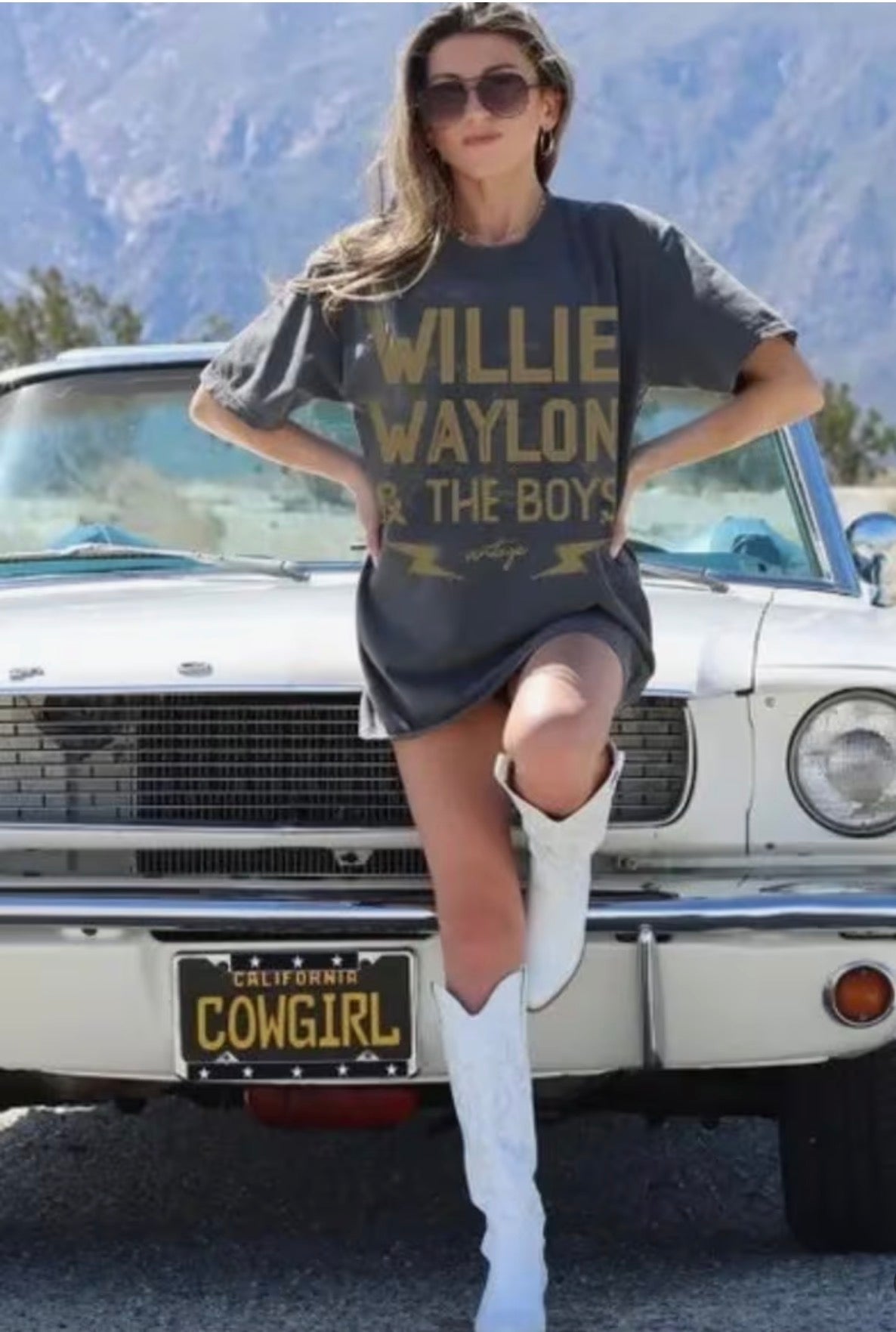 Willie Waylon & The Boys Graphic Tee